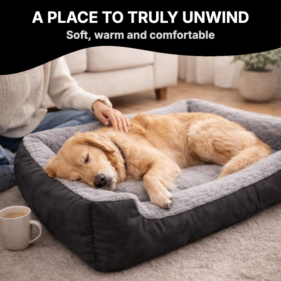 Dog relaxing in the plush bed at home