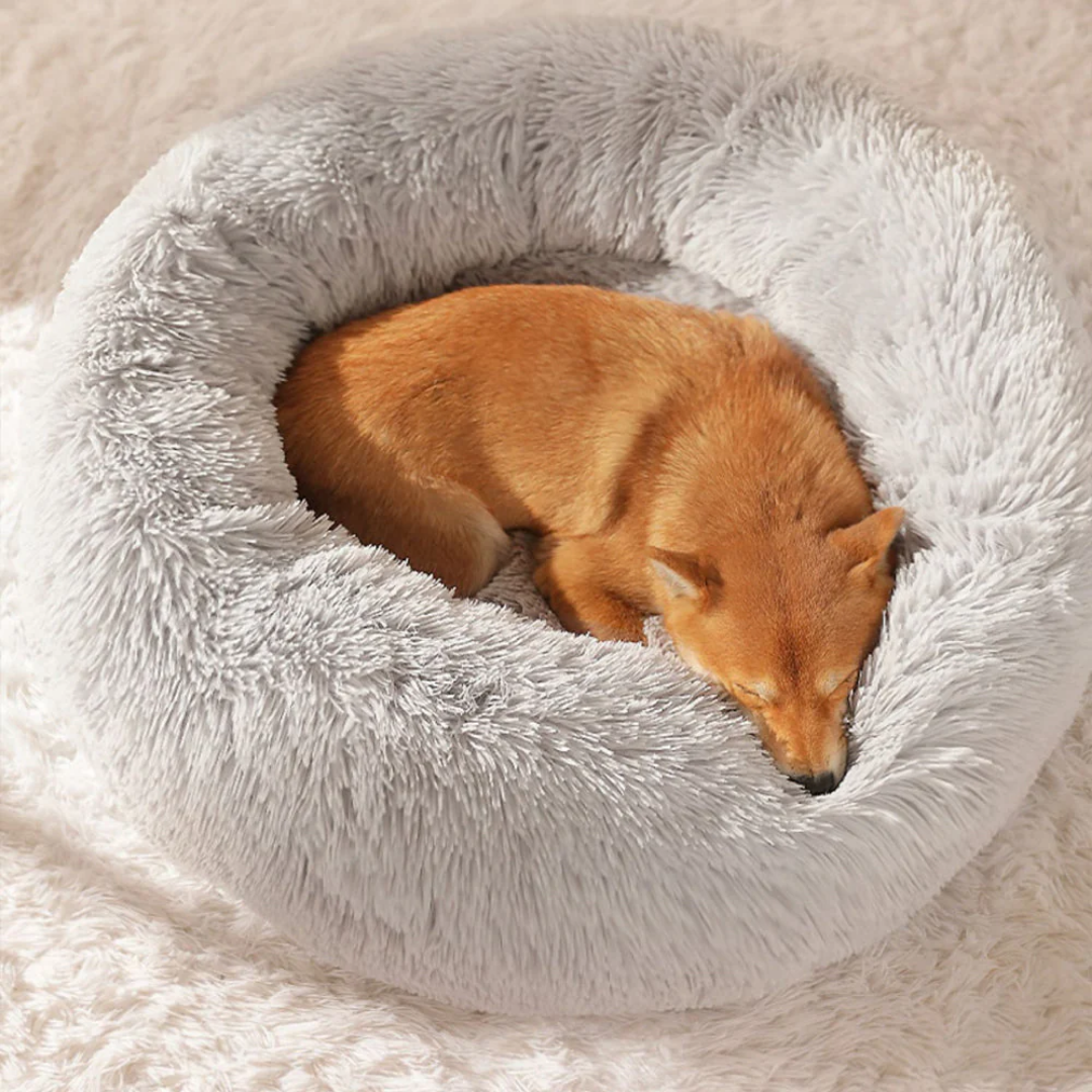 Dog sleeping in a plush donut bed