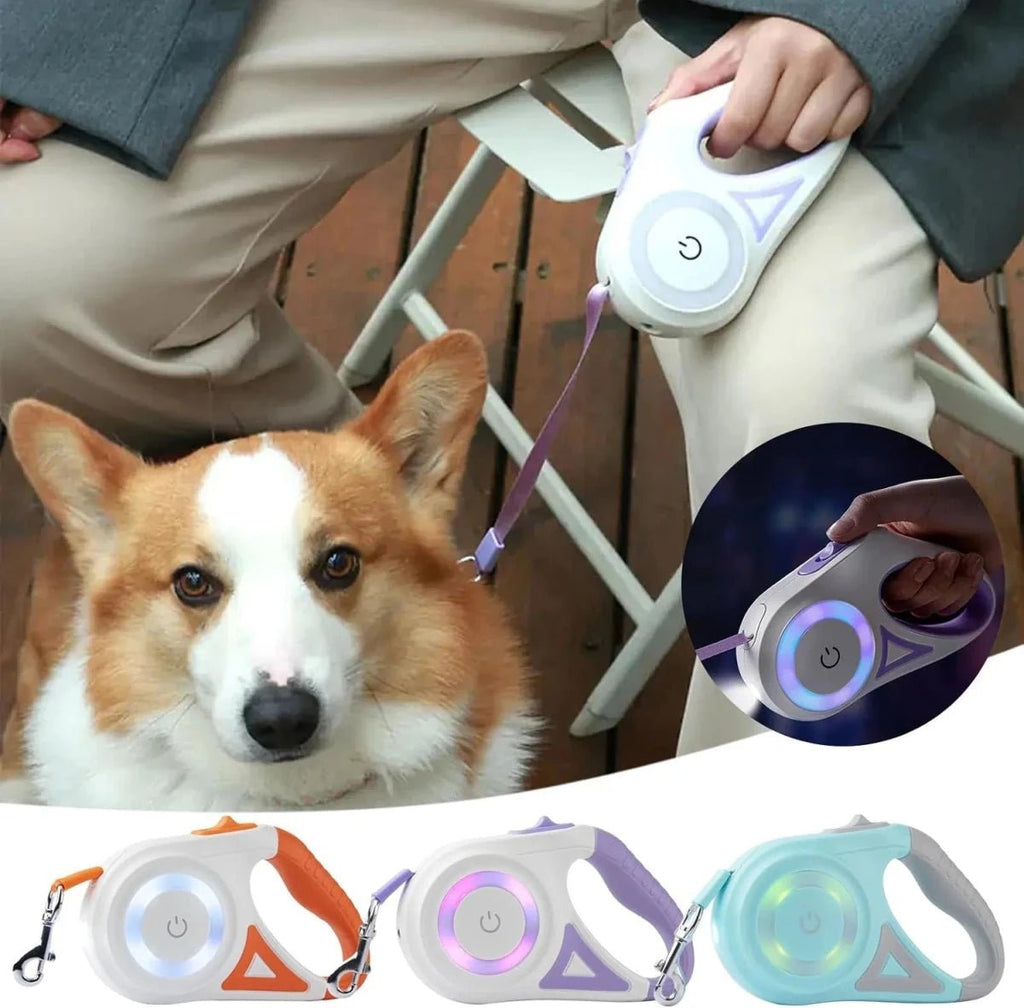 Retractable dog leash with illuminated LED ring and flashlight in a white and purple handle (view 7)