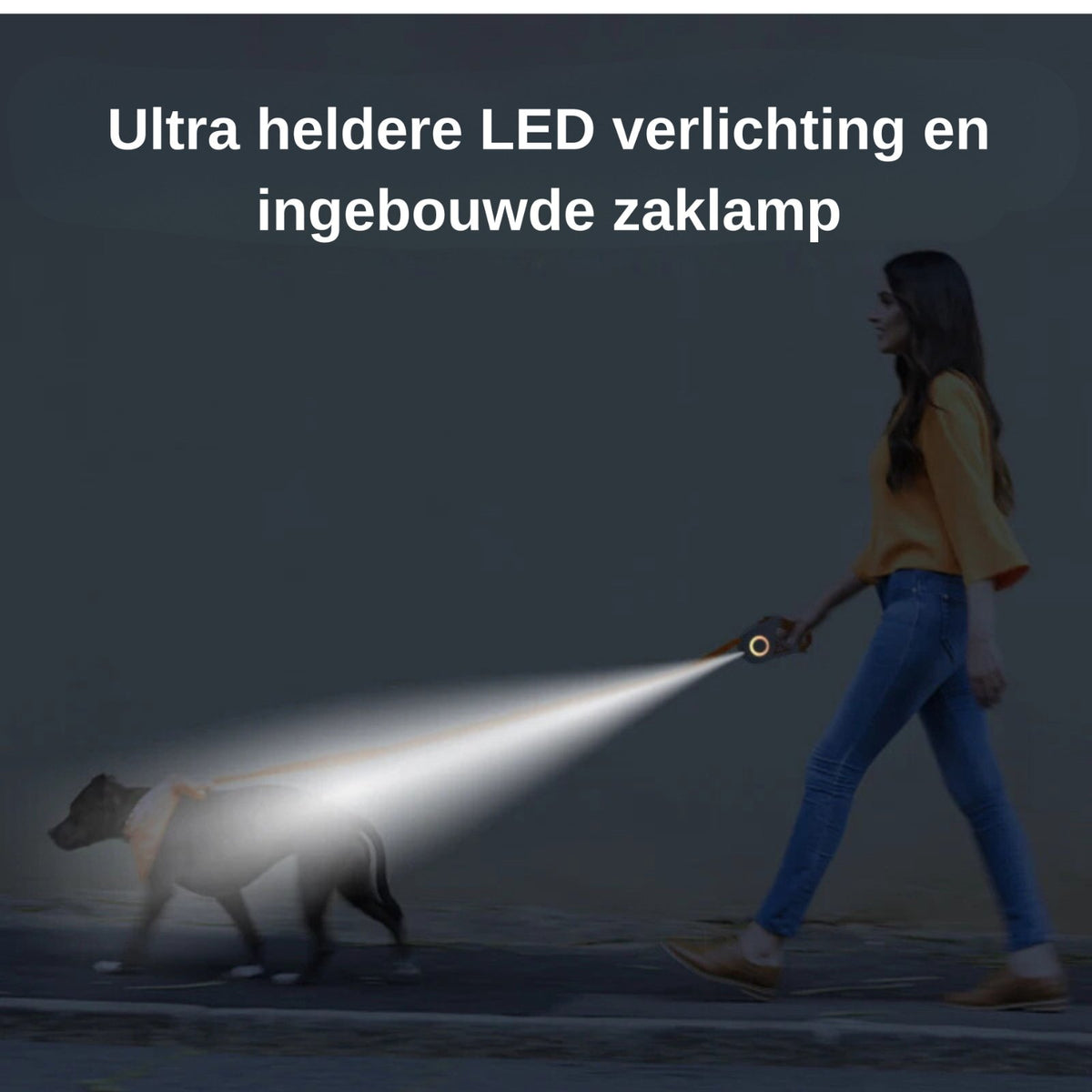 Retractable dog leash with illuminated LED ring and flashlight in a white and purple handle (view 8)