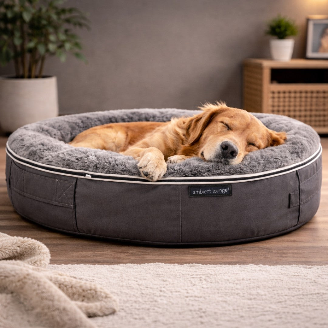 Dog sleeping in a round grey padded bed