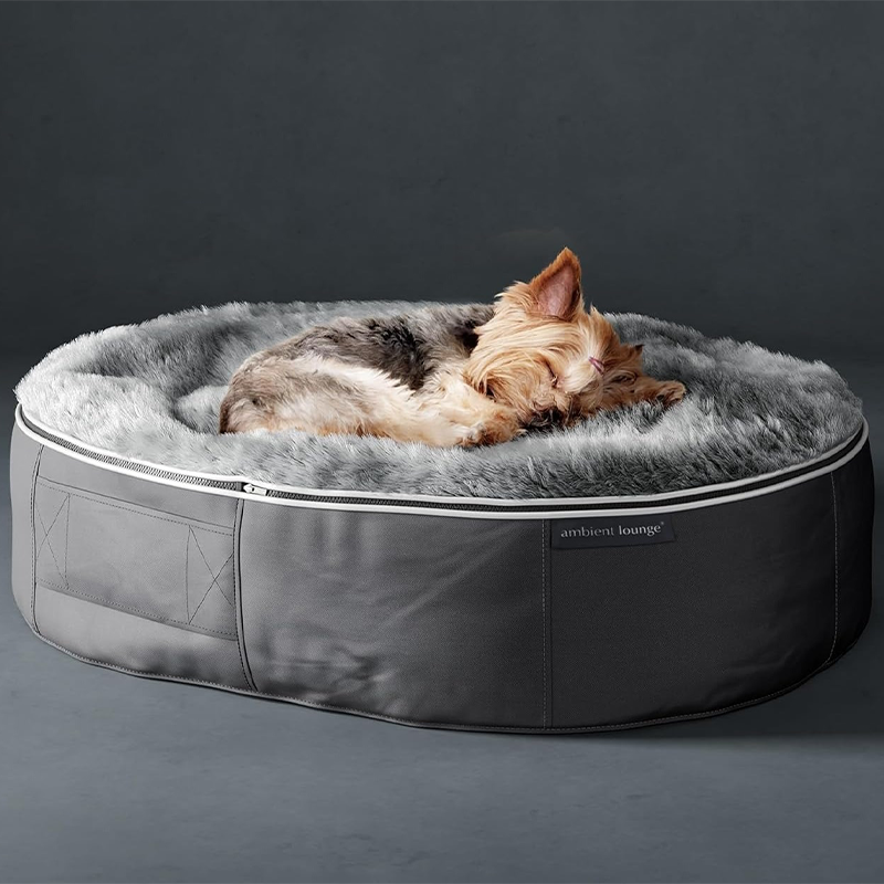 Cat lying in the round bed