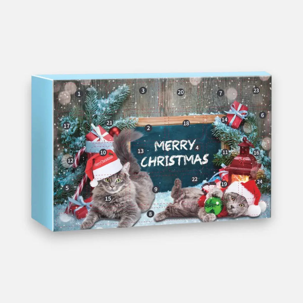 Christmas advent calendar for cats