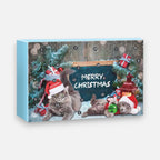 Christmas advent calendar for cats