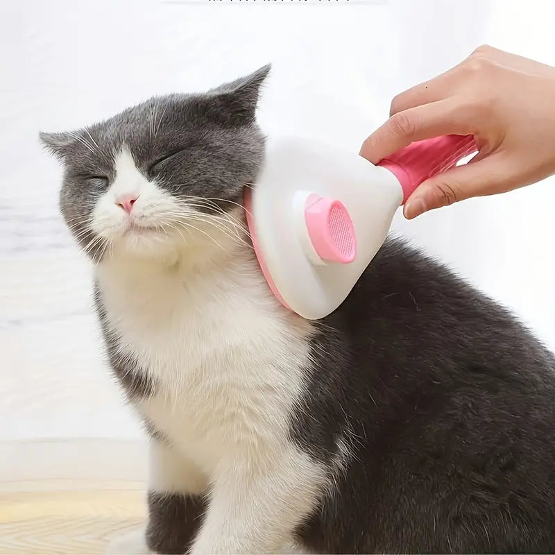 Brushing a cat with the pink slicker brush