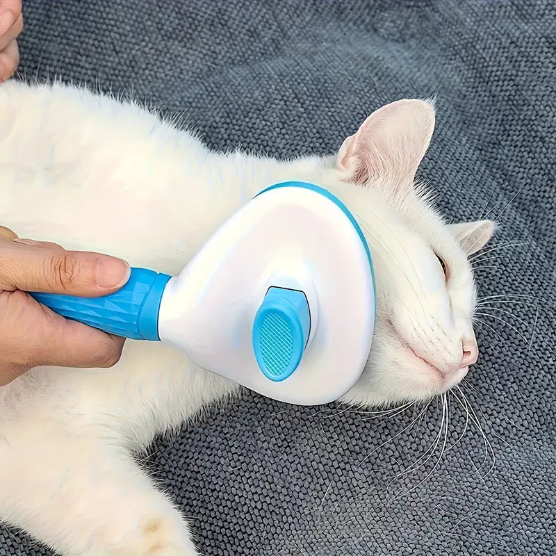 Brushing a white cat with the slicker brush