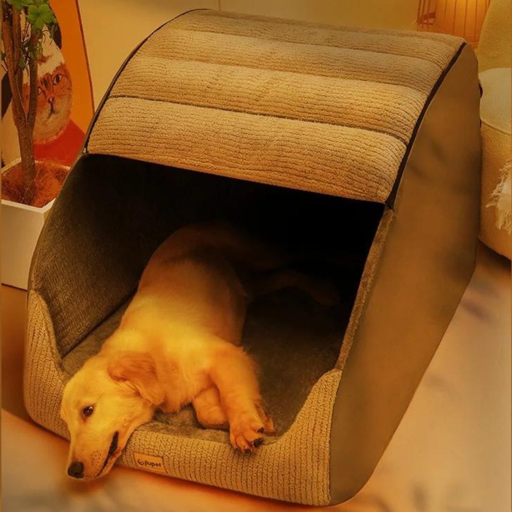 Pet cave bed in a living room