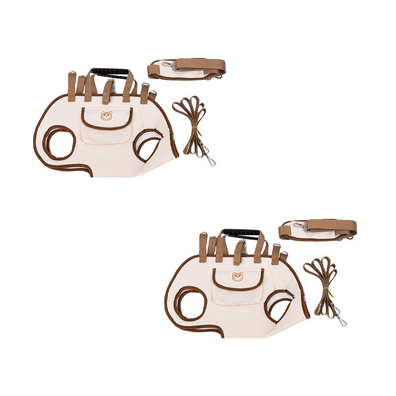 Pet sling carrier worn crossbody