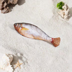 Fish cat toy design