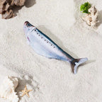 Fish cat toy design