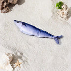 Fish cat toy design