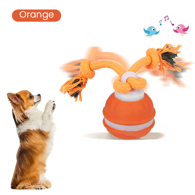 Rolling cat ball with charging cable