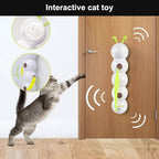 Interactive cat toy mounted on a door