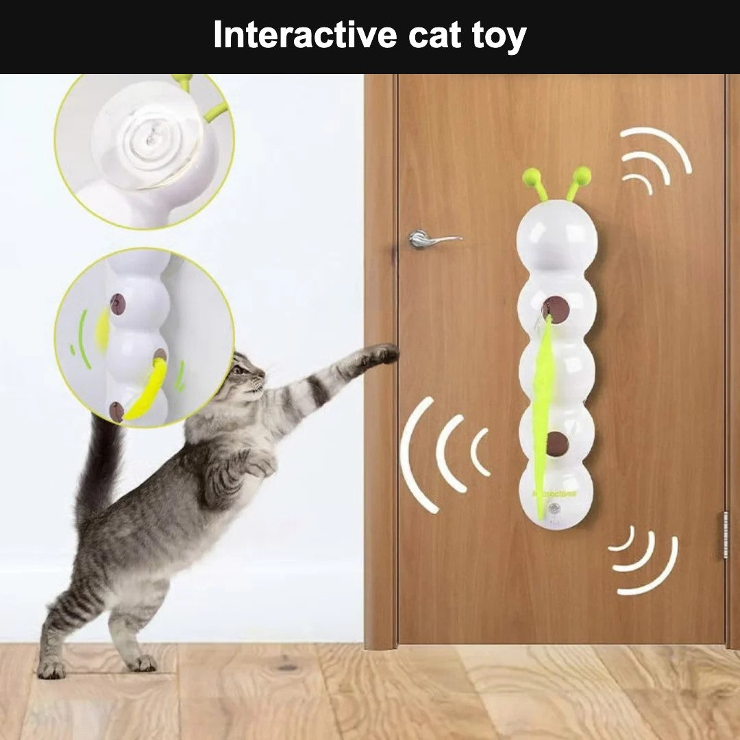 Interactive cat toy mounted on a door