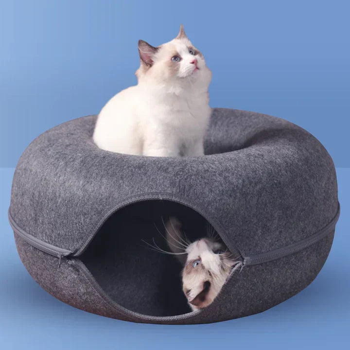 Cat resting in felt cat cave