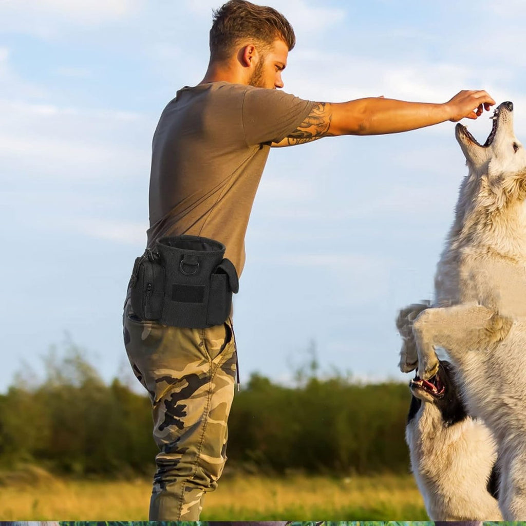 Multi-pocket dog treat pouch