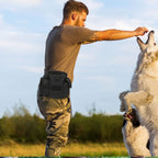 Multi-pocket dog treat pouch