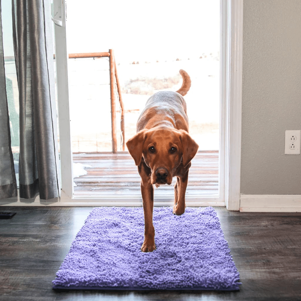 Tapis CleanPattoune™ - Le Confort Pour Lui, La Propreté Pour Vous