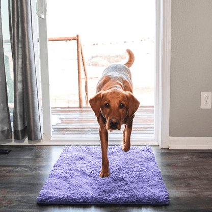 Tapis CleanPattoune™ - Le Confort Pour Lui, La Propreté Pour Vous