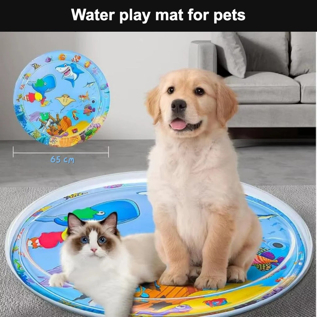 Puppy and kitten on a water play mat