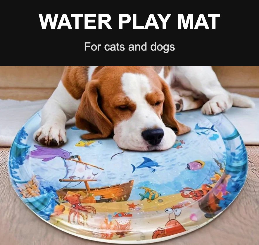 Dog lying on a water play mat