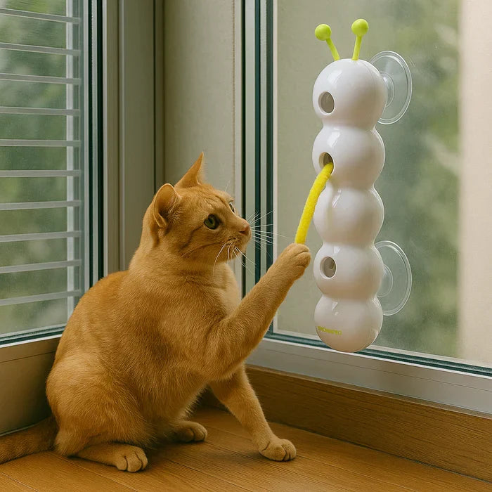 Interactive wall cat toy